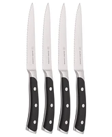 Duraliving 4-Piece Steak Knife Set