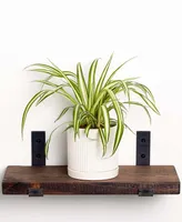 Greendigs Live Spider Plant in Fluted Ceramic Pot, 5"