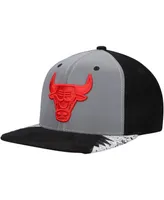 Men's Silver and Gray Chicago Bulls Day 5 Snapback Hat