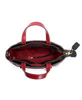 Old Trend Women's Genuine Leather Westland Minit Tote Bag