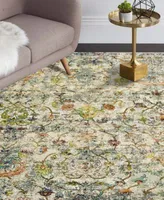 Lr Home Opulent Oriental Garden Area Rug