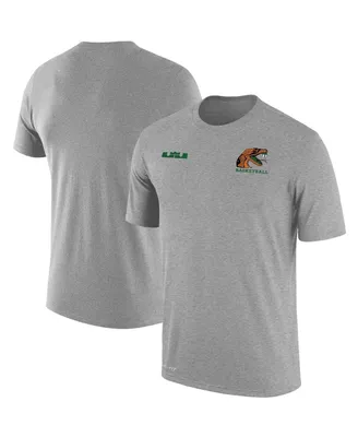 Men's Nike x LeBron James Gray Florida A&M Rattlers Collection Performance T-shirt