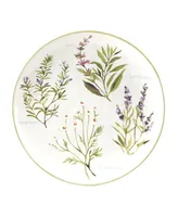 Certified International Fresh Herbs Dinner Plates, Set of 4