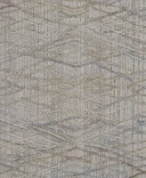 Feizy Elias R6589 2' x 3' Area Rug