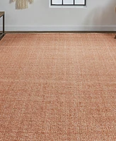 Feizy Naples R0751 2' x 3' Area Rug