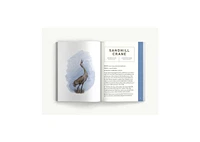 Birds: An Illustrated Field Guide by Alice Sun