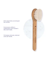 Province Apothecary Daily Glow Facial Dry Brush, 1.5 oz