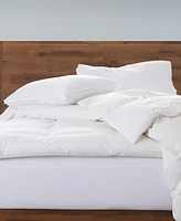 Ella Jayne Gusseted Soft Plush Down Alternative Stomach Sleeper 2-Pack Pillow
