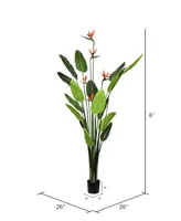 Vickerman 6' Artificial Potted Bird of Paradise Palm Tree