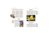 Gastro Obscura: A Food Adventurer's Guide by Cecily Wong
