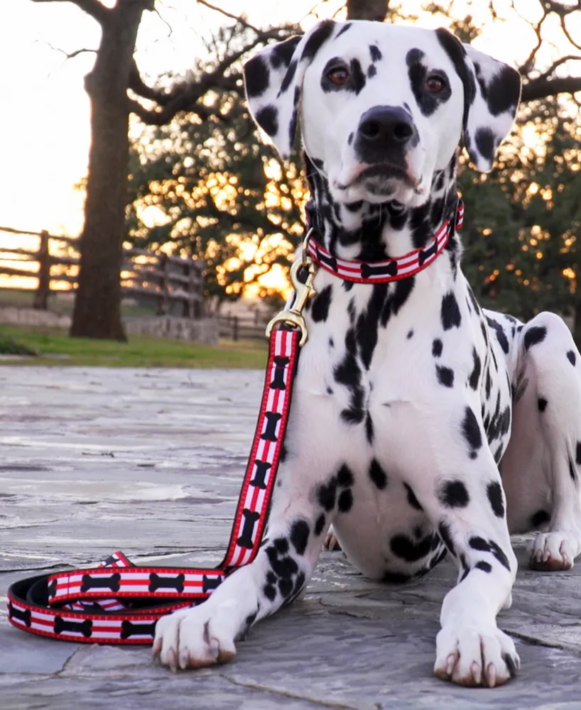 Up Country Got Bones Dog Collar