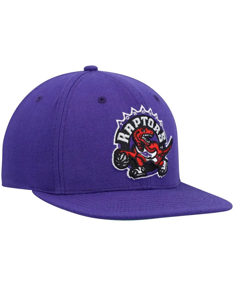 Men's Mitchell & Ness Purple Toronto Raptors Hardwood Classics Team Ground 2.0 Snapback Hat