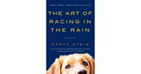 The Art of Racing in the Rain by Garth Stein