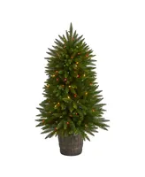 Sierra Fir Artificial Christmas Tree with Lights and Bendable Branches in Decorative Container, 60"