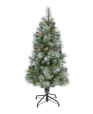 Frosted Tip British Columbia Mountain Pine Artificial Christmas Tree with Lights, Pine Cones and Bendable Branches, 48"