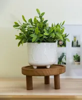 Flora Bunda Footed Wood Plant Stand, Set of 2