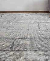 Feizy Alford R6925 3'6" x 5'6" Area Rug