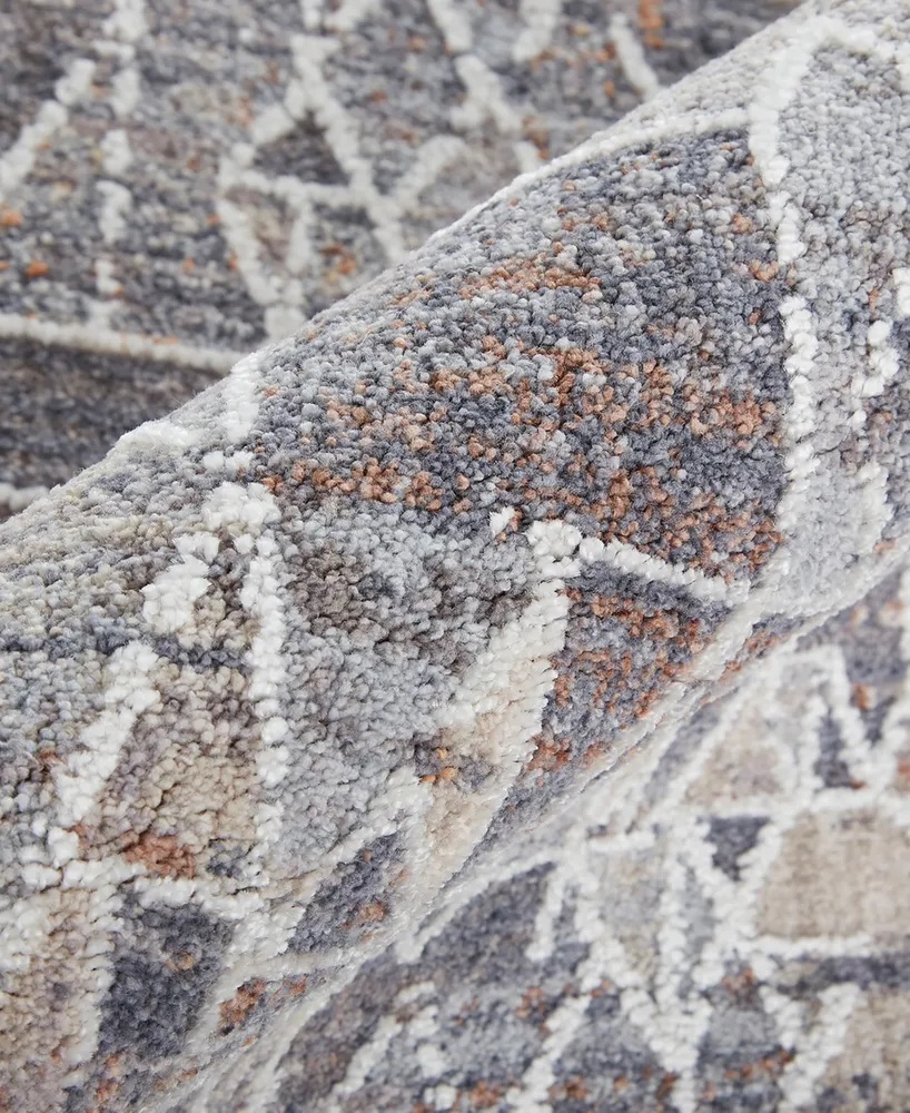 Feizy Francisco R39CZ 4' x 6' Area Rug
