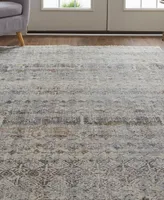 Feizy Kaia R39GL 2' x 3' Area Rug