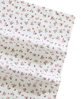 Betsey Johnson Printed Cotton Percale -Pc. Sheet Set