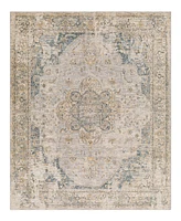 Livabliss Aspendos Aps-2303 7'10" x 10'3" Area Rug