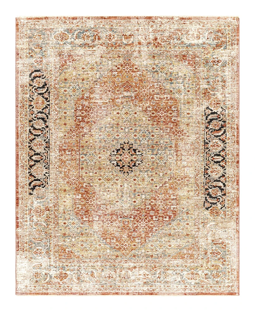 Surya Aspendos Aps- 2' x 3' Area Rug