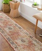 Surya Aspendos Aps- 2'7" x 7'3" Runner Area Rug