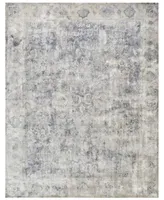 Exquisite Rugs Cassina ER3902 6' x 9' Area Rug