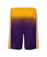 Big Boys Mitchell & Ness Gold, Purple Los Angeles Lakers 2009/10 Hardwood Classics Fadeaway Reload 3.0 Swingman Shorts