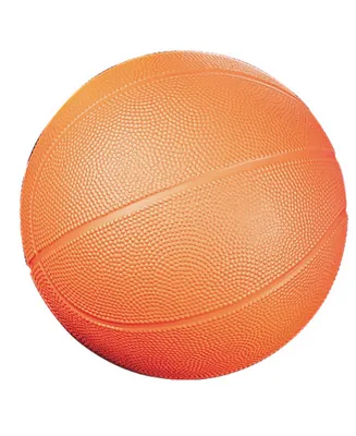 Champion Sports Coated High Density Basketball