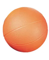 Champion Sports Coated High Density Basketball