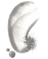 Well People Plant Powderfoliant Renewing Charcoal Exfoliating Powder