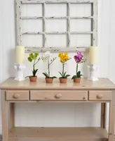 Nearly Natural 4-Pc. Phalaenopsis Orchid Set with Clay Vases