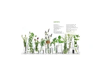 Culinary Herbs: Grow. Preserve. Cook! by Yvonne Tremblay