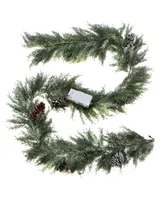 National Tree Company 9' Pre-Lit Snowy Christmas Garland with Pinecones