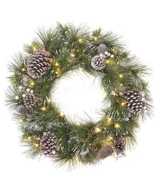 National Tree Company 24" Whitter Pine Wreath with Led Lights