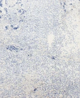 Bashian Medley 5570A 7'6" x 9'6" Area Rug