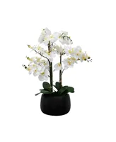 Tabletop Artificial Orchid Arrangement in Ceramic