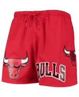 Men's Pro Standard Red Chicago Bulls Mesh Capsule Shorts