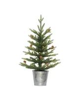 Puleo Pre-Lit Table Top Artificial Christmas Tree with 35 Lights in Metal Pot, 2'