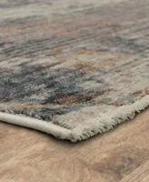 Karastan Echo Bellezza Area Rug