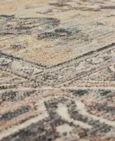 Closeout Karastan Echo Aurelia Area Rug