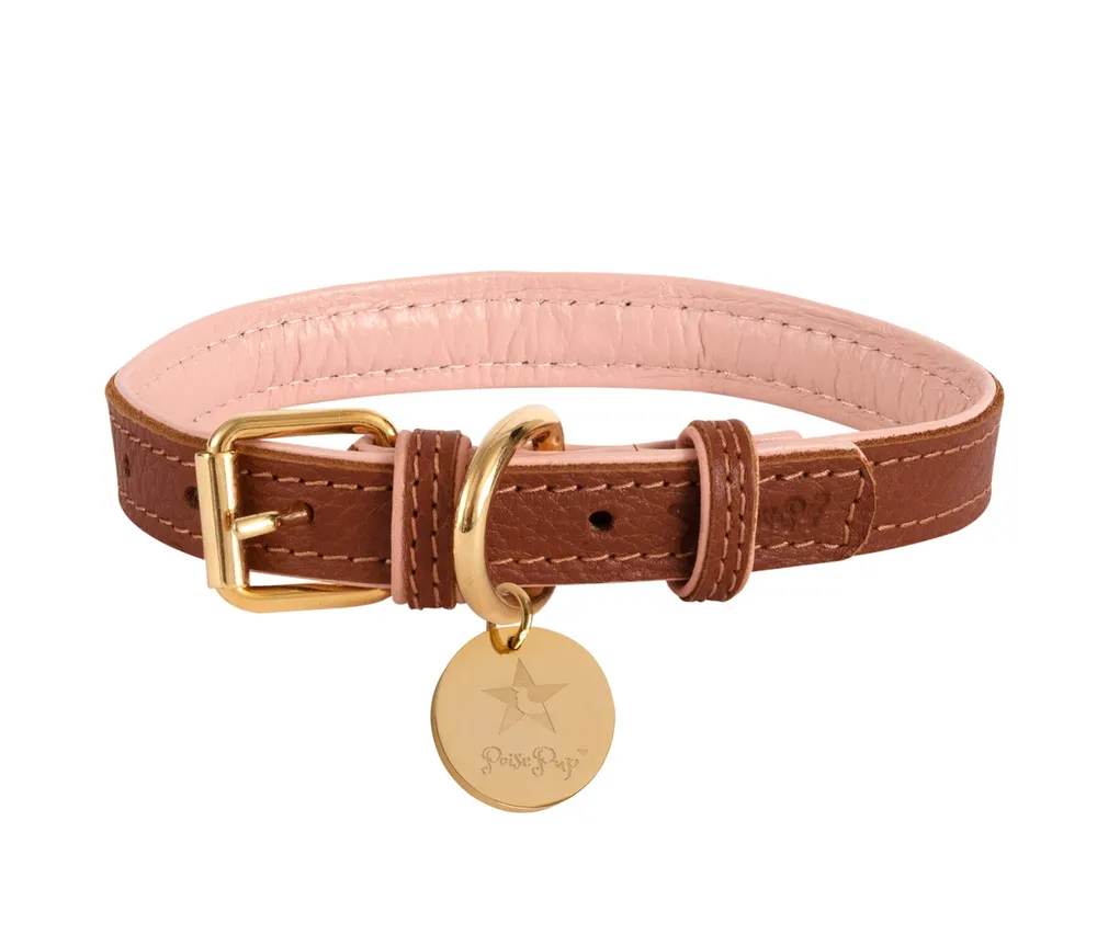 Pet Dog Collar - Bella Rose