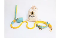 PoisePup Pet Dog Collar - Sunshine Babe