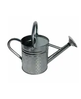 Gardener Select Galvanized Embossed Watering Can, Silver, 0.63 Gal