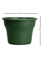 Panterra Plastic Planter Flower Pot Green 8 Inch