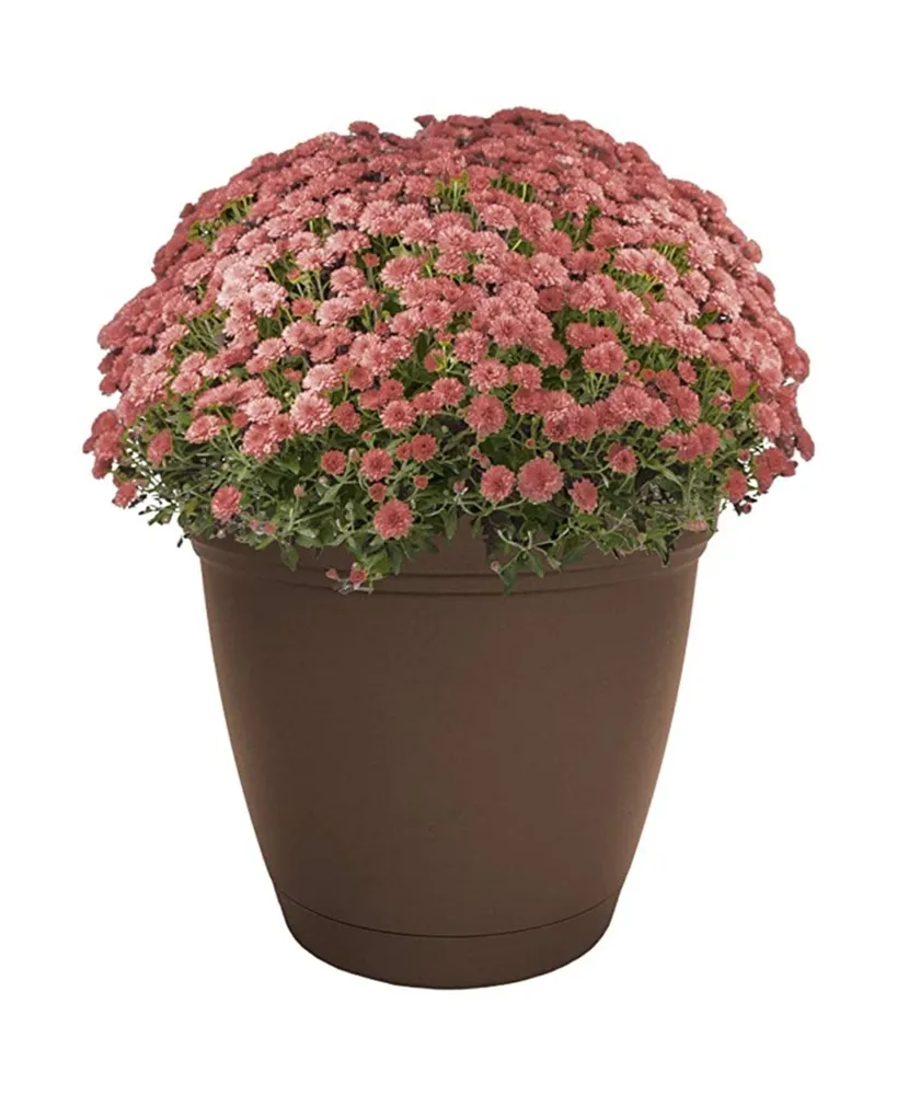 Hc Companies Eclipse Round In Outdoor Plastic Planter Chocolate 12in