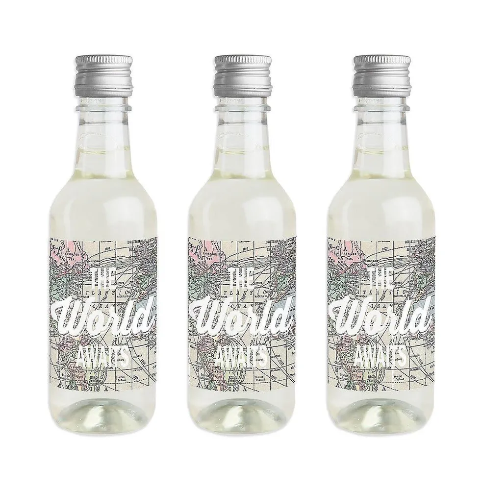 World Awaits - Travel Themed Party Water Bottle Sticker Labels - Set of 20