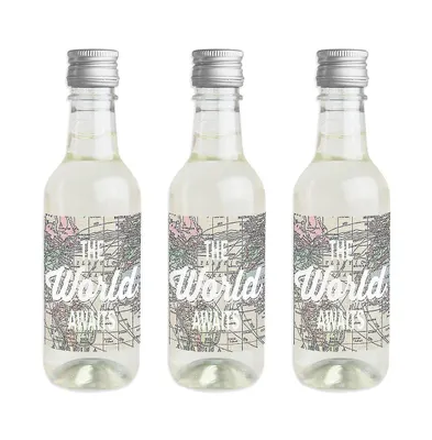 World Awaits - Mini Wine Bottle Label Stickers - Travel Themed Favor Gift 16 Ct - Assorted Pre