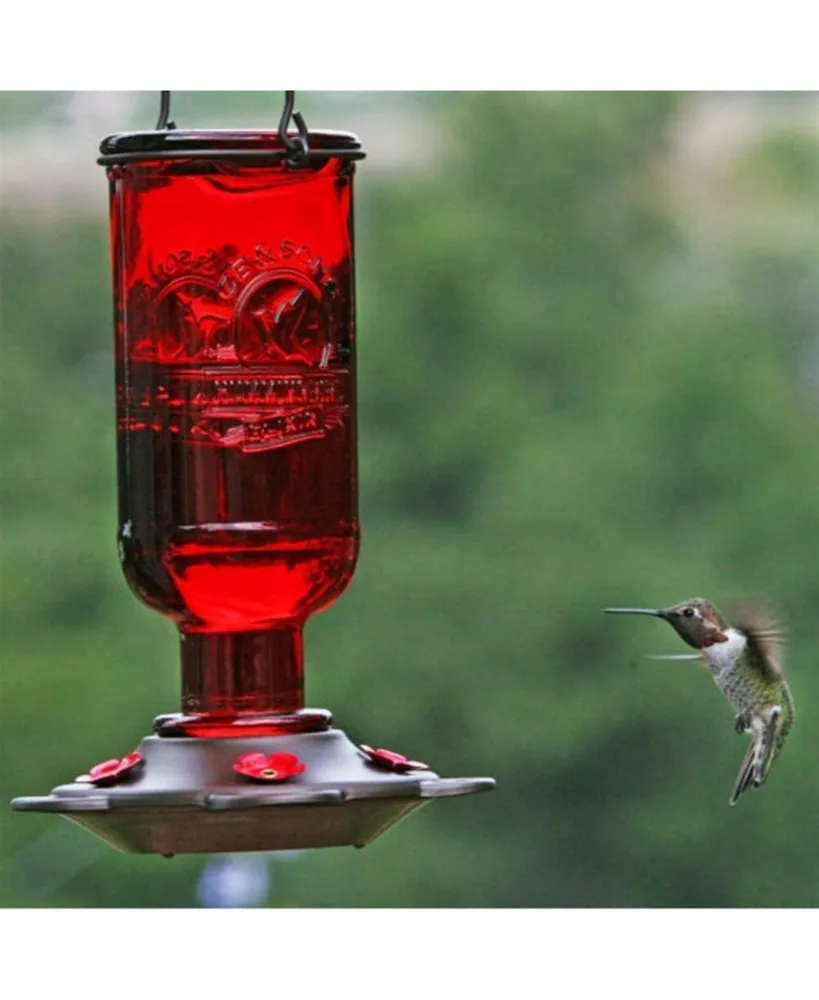 More Birds Hummingbird Feeder 13 Oz Nectar Capacity